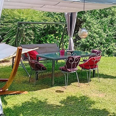 Camping Under The Walnut In Your Own Tent On A Shared Lot And Shared Bathroom ลูบลิยานา ภายนอก รูปภาพ