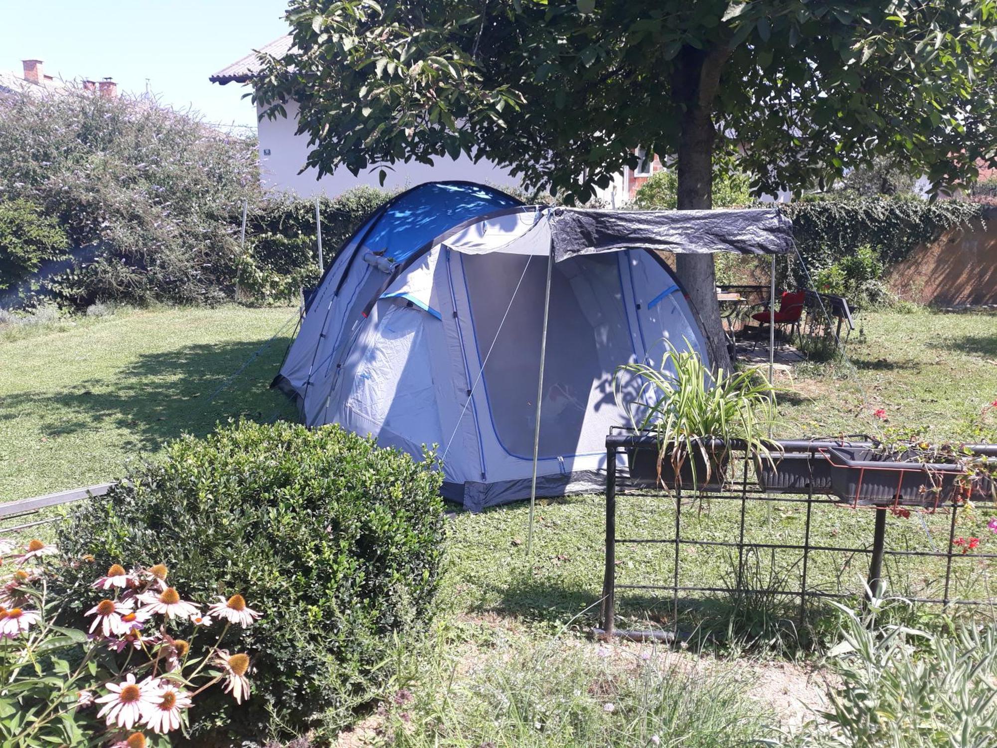 Camping Under The Walnut In Your Own Tent On A Shared Lot And Shared Bathroom ลูบลิยานา ภายนอก รูปภาพ